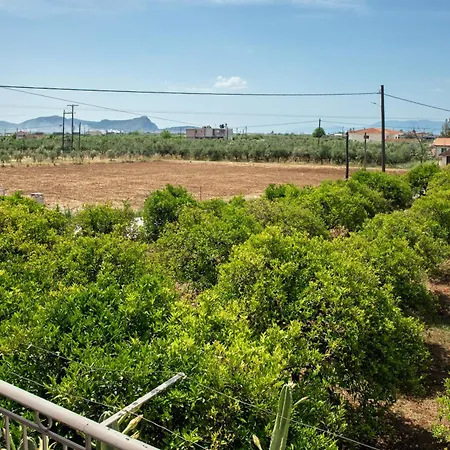 Orange Blossom * Nauplion