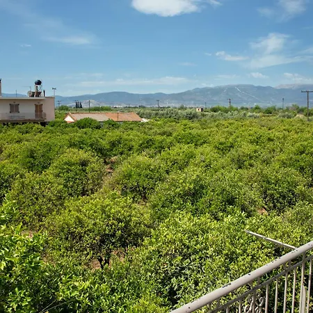 Orange Blossom Dom wakacyjny Nauplion