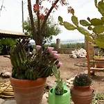 Orange Blossom Σπίτι διακοπών