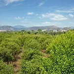 Orange Blossom Σπίτι διακοπών Ναύπλιο