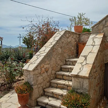 Tatil Evi Orange Blossom