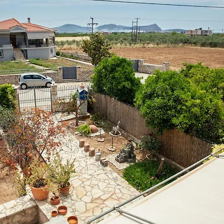 Orange Blossom * 나플리오