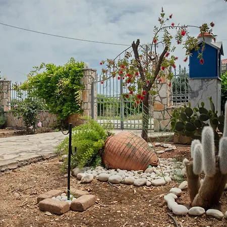 Tatil Evi Orange Blossom