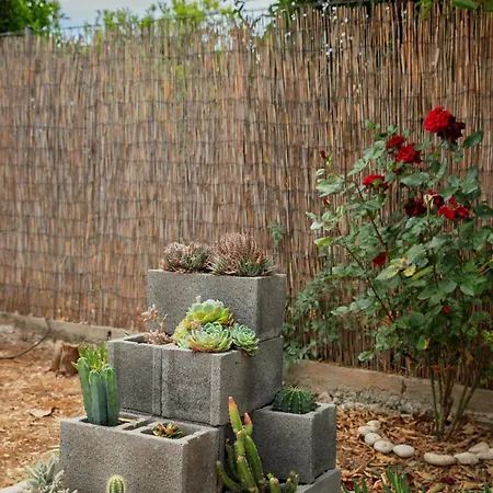 Tatil Evi Orange Blossom