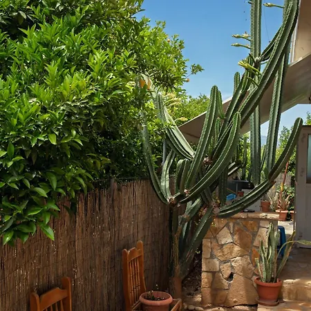 Orange Blossom Σπίτι διακοπών Ναύπλιο