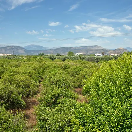 Orange Blossom Tatil Evi Anabolu