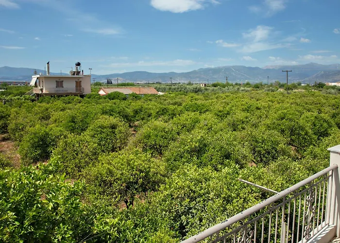 Orange Blossom Σπίτι διακοπών Ναύπλιο