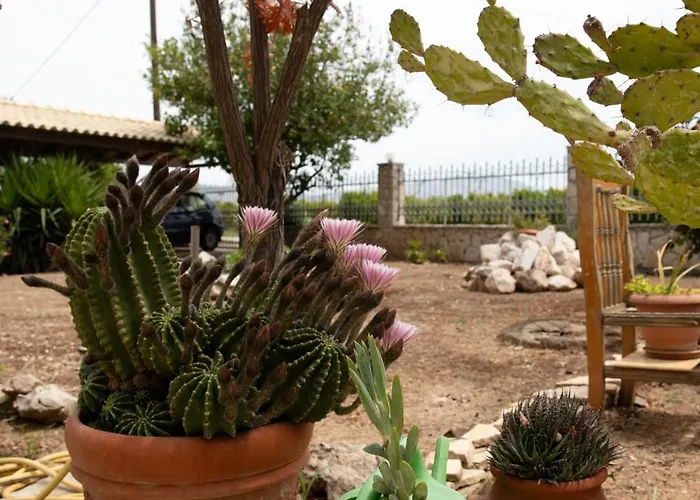 Orange Blossom 펜션