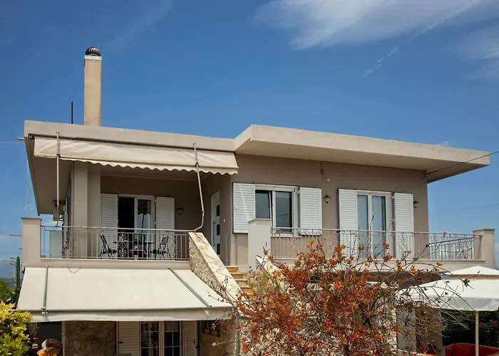 Orange Blossom 펜션