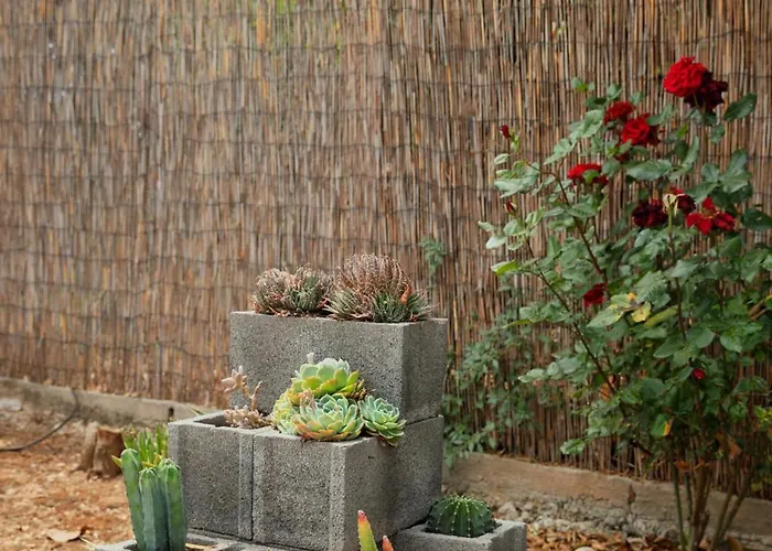 Σπίτι διακοπών Orange Blossom