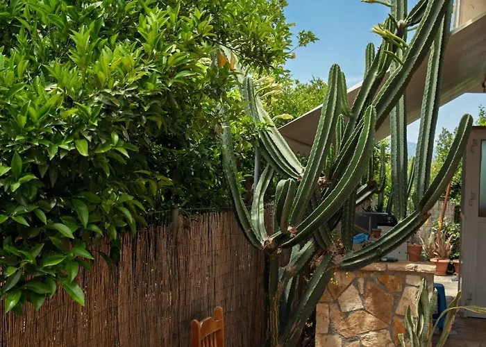 Orange Blossom Σπίτι διακοπών Ναύπλιο