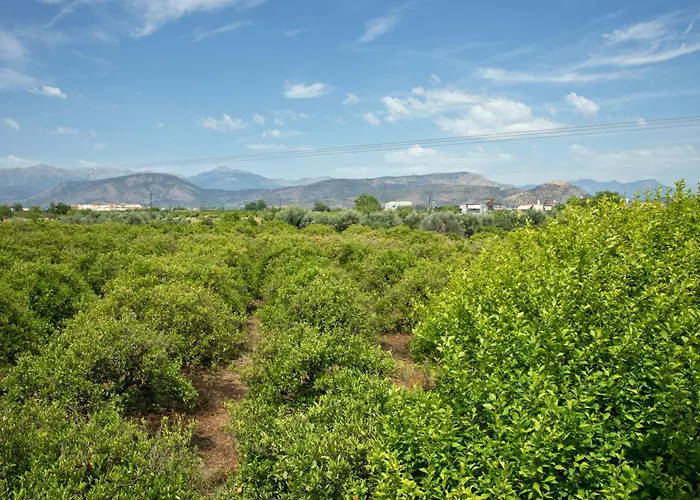 Orange Blossom Σπίτι διακοπών Ναύπλιο